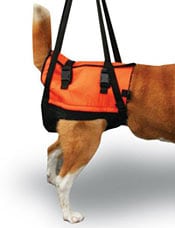 Hartman's Hip Helper Harness Dog Harness for canine mobility which allows  your. and assistance to dogs who are disabled or crippled due to hip dysplasia.