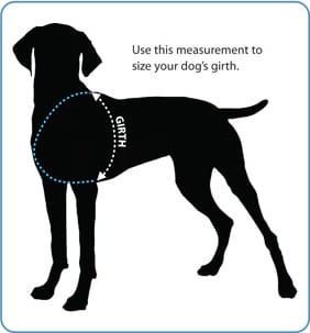 Ruff Wear Girth Sizing