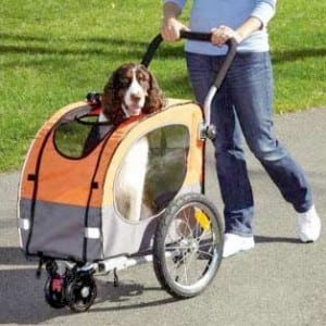 Pet Strollers Help Small and Large Handicapped Dogs