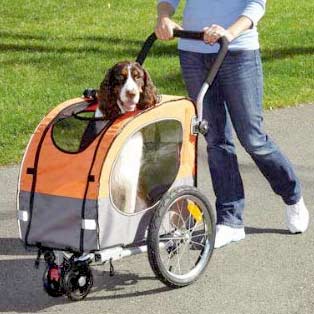 large dog buggy