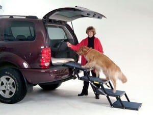 ladder for dog to get in car