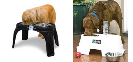 what is the correct height for elevated dog bowls