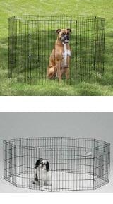 portable exercise pen