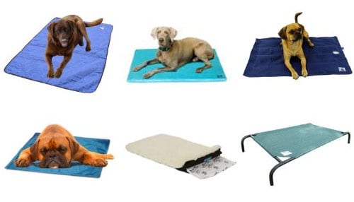 colling dog beds