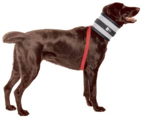 Best e collar cheap for dogs after surgery