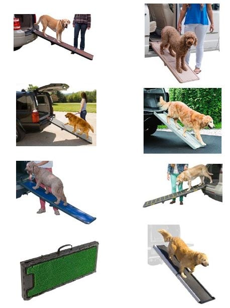 dog ramps