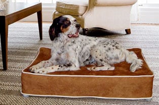 kuranda dog beds