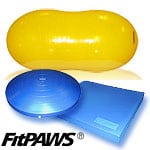 FitPAWS Dog Rehab Exercise Training Products