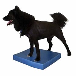 FitPAWS Balance Pad