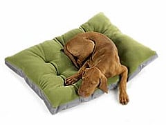 Comfortable Surgery Recovery Dog Bed