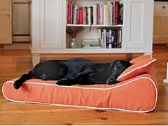 Comfortable Surgery Recovery Dog Bed