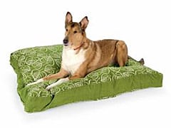 Comfortable Surgery Recovery Dog Bed