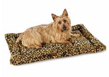 Comfortable Dog Bed For Recovering Dogs on Sale at FetchDog