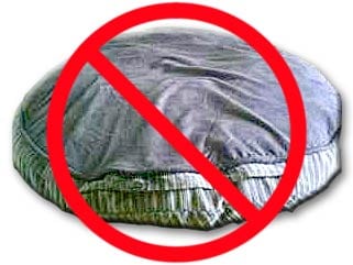 No Lumpy Dog Beds for New Tripawds!