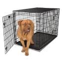 Keep Tripawds Confined Safe with Portable Pet Crate
