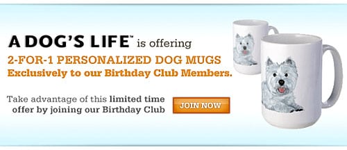 FetchDog Birthday Club Free Gifts