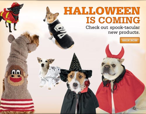 fetchdog howloween costumes