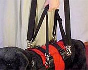AST Get A Grip Total Dog Harness Kit