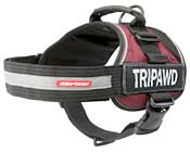 Tripawd Amputee Dog Support Harness