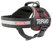 Tripawd Convert Harness Review