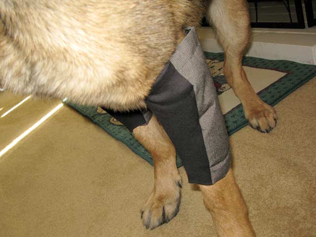 Canine Angels Hygroma Protector Dog Elbow Pads