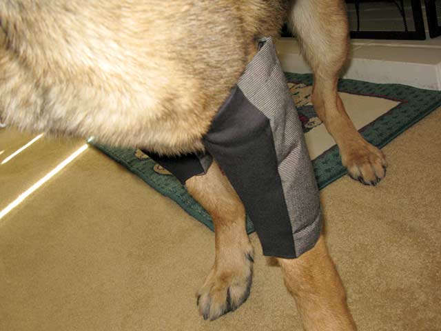 canine elbow pads