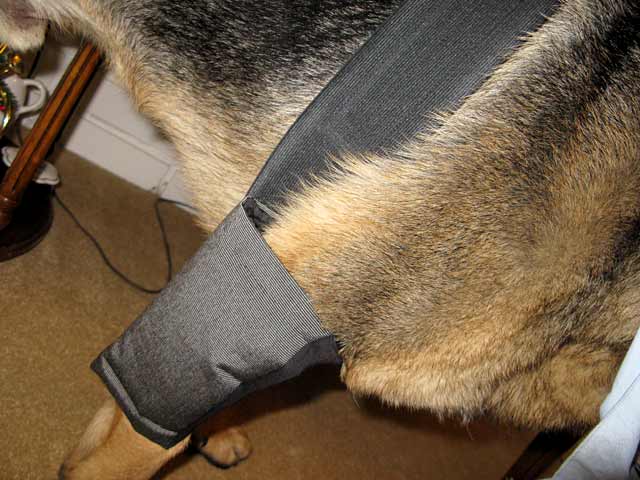 Homemade Hygroma Protector Dog Elbow Pads