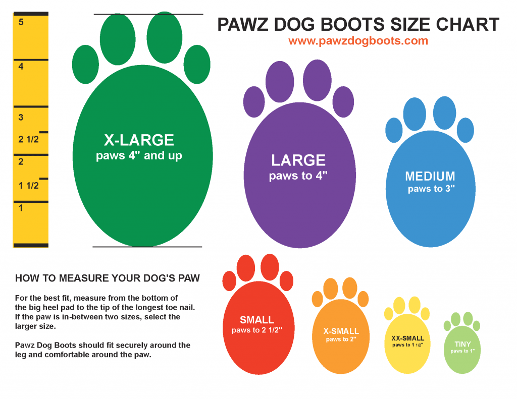 pawz-traction-boots-protect-tripawd-feet