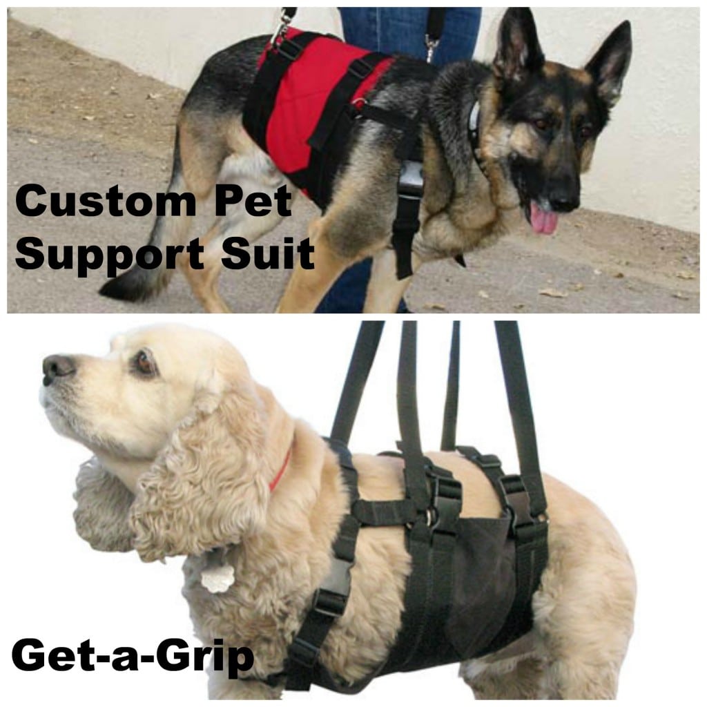 AST GetAGrip Dog Amputation Harness Product Demo Video Review