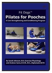 pilates for pooches