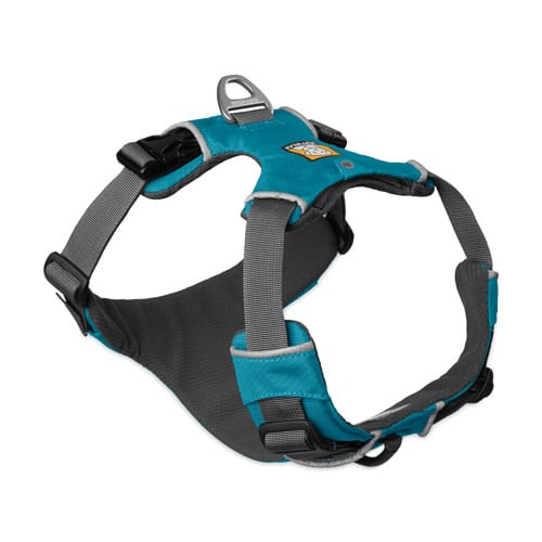 small Tripawd dog harness