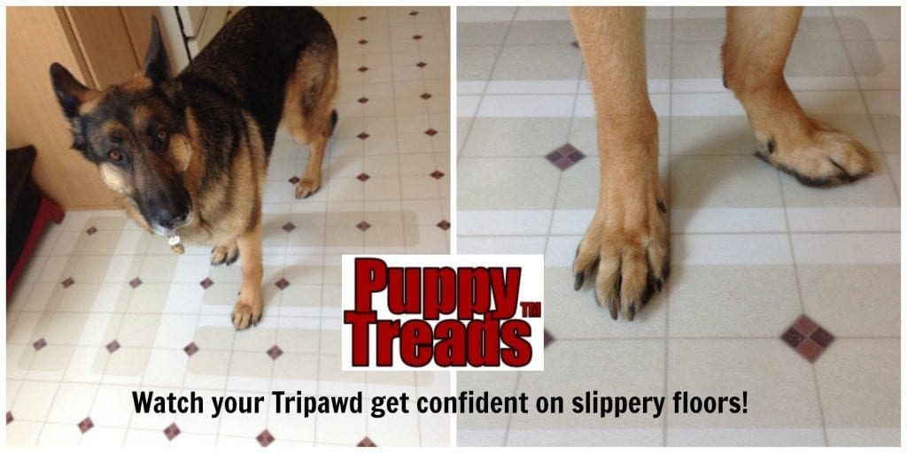 No-Slip floors for three-legged dog