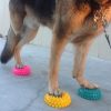 Paw Pods Make Tripawd Dog Exercise Fun best Tripawd fitnes tips
