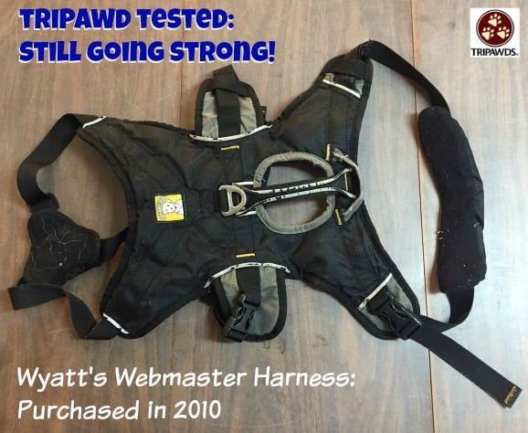 Tripawd Webmaster harness