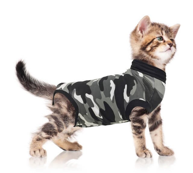 Cat recovery suit diy sale