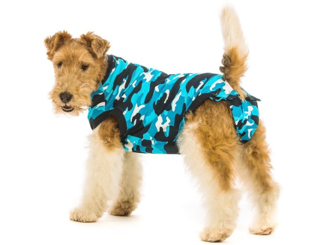 DIY Pet Recovery Suits for Cats and Dogs