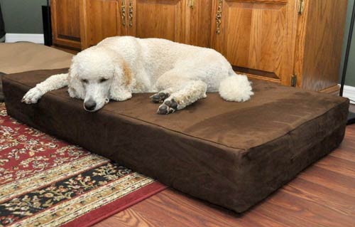 Big Barker Dog Bed