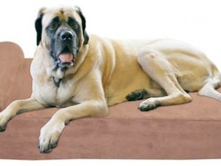 Big Barker Dog Bed