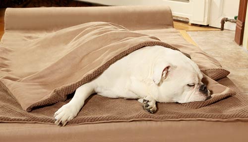 Big Barker Dog Bed