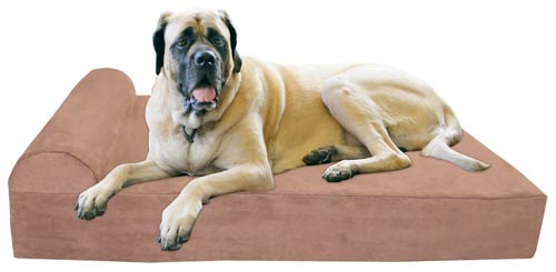 are mastiffs barkers