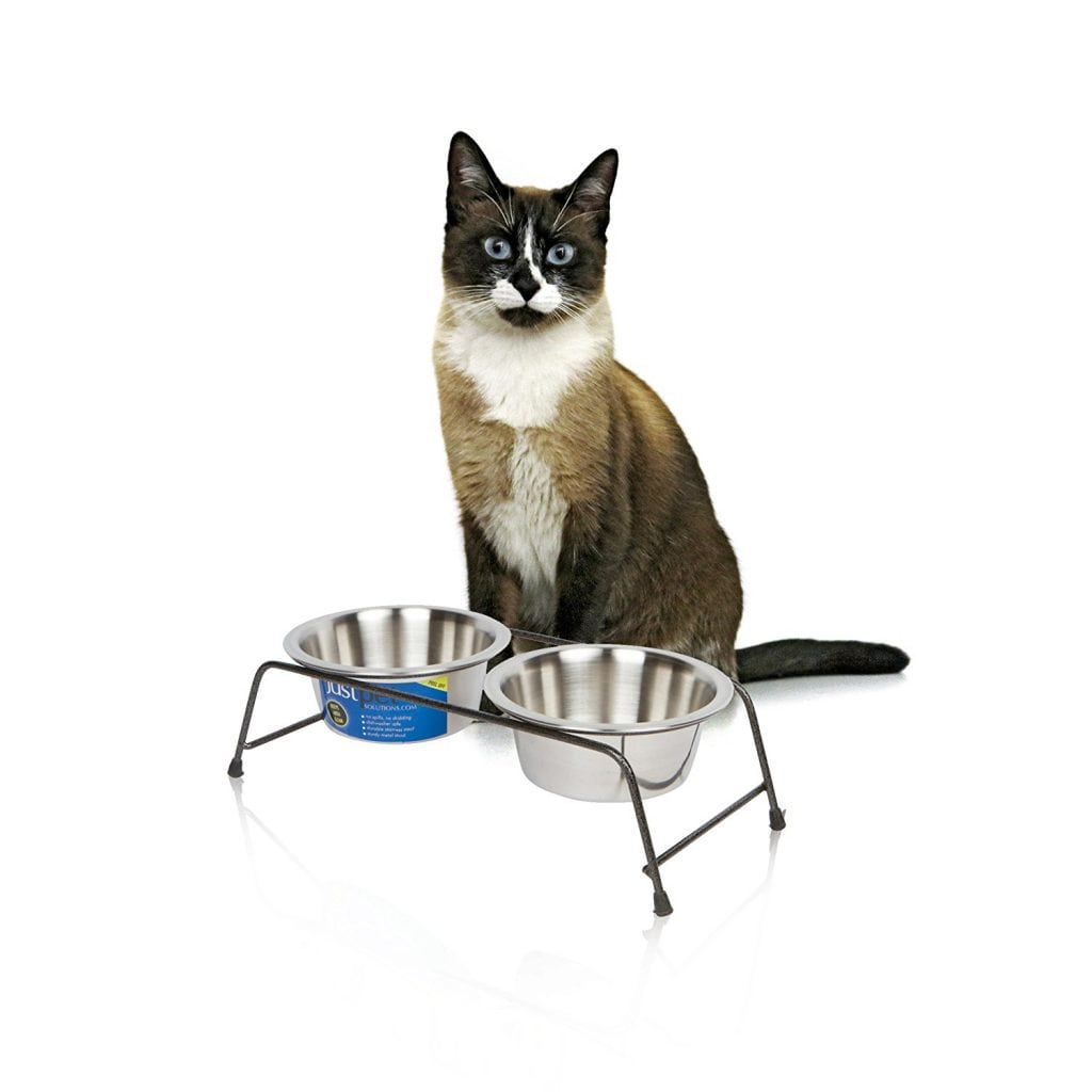 how-to-measure-for-raised-pet-food-bowls-and-why