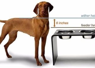 How to Measure Raised Pet Food Bowls, and Why MeasureRaisedBowls