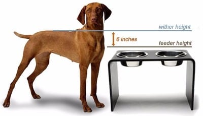 tall water bowl for dogs