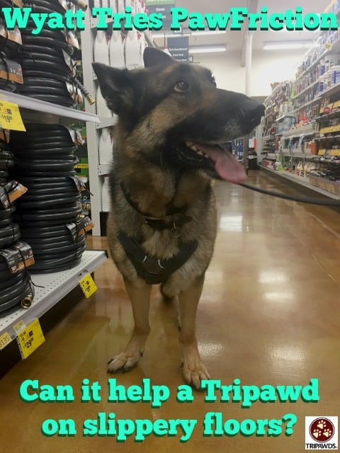 floor traction for tripawds