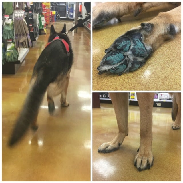 floor traction for tripawds