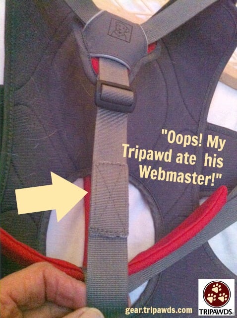 Webmaster Harness Strap Repair Tip