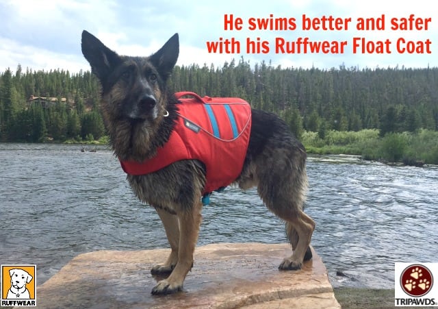 Tripawds Ruffwear gear sale