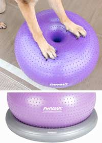 FitPAWS Donut Dog Exercise