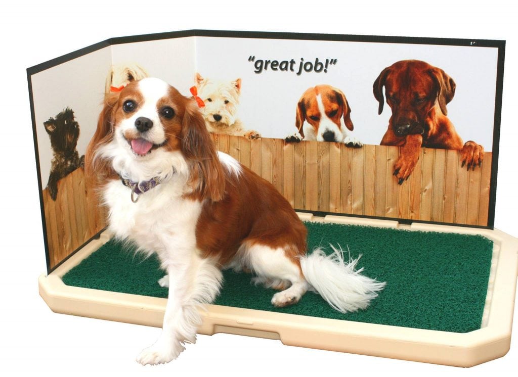 indoor pet toilet