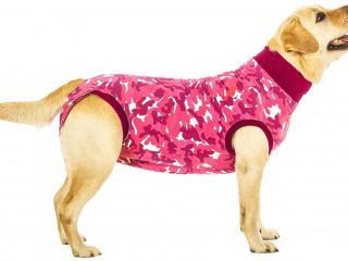 Suitical Pet Recovery Suit for Dogs